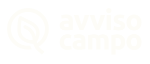 Consultora Avviso Campo